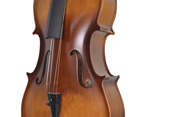 Sotendo Full Size Student Cello Set wi 
